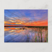 Florida Everglades Briefkaart (Voorkant)