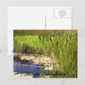 Florida Everglades Briefkaart (Voorkant / Achterkant)