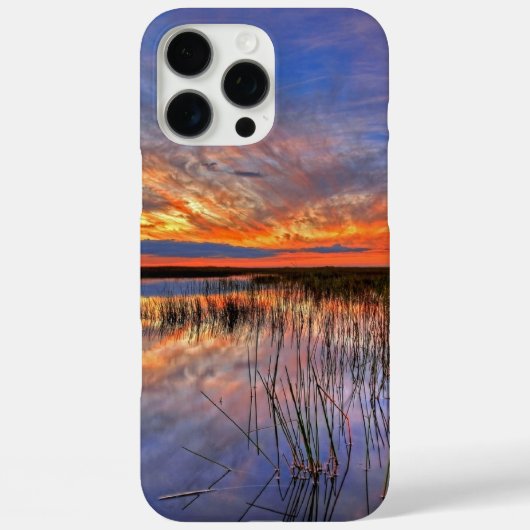 Florida Everglades Case-Mate iPhone Case (Achterkant)