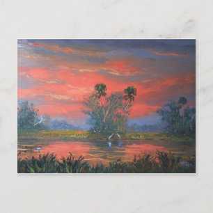 Florida Everglades Fire Sky Briefkaart