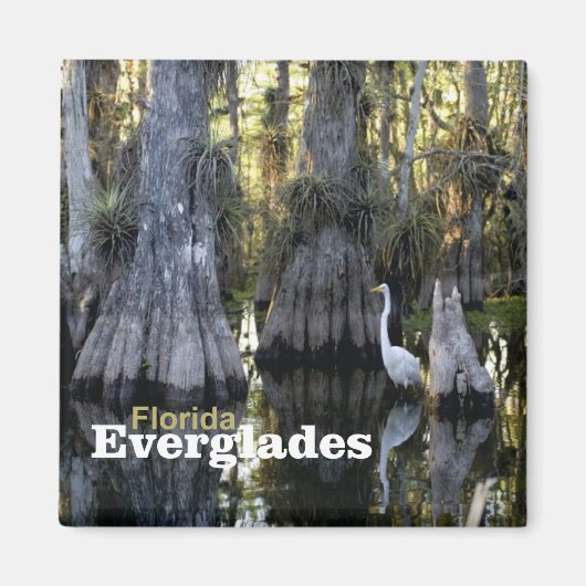 Florida Everglades Foto Souvenir Koelkast Magneet (Voorkant)