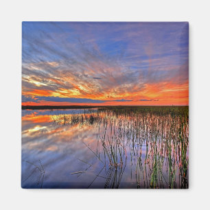 Florida Everglades Magneet