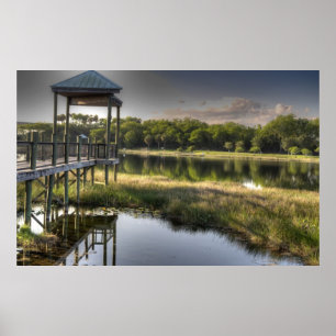 Florida Everglades Poster