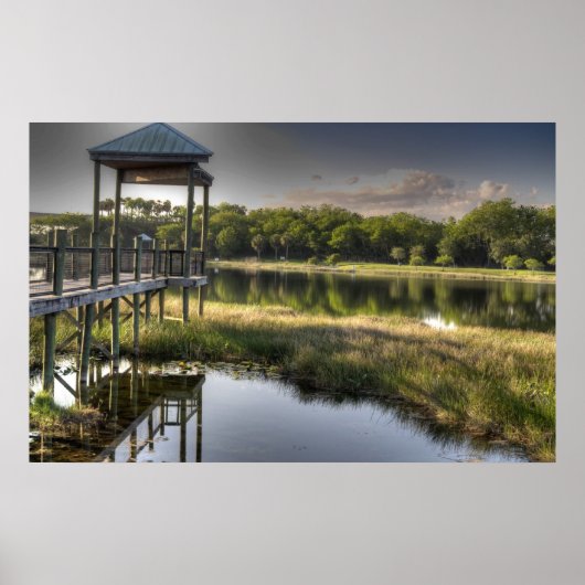 Florida Everglades Poster (Voorkant)