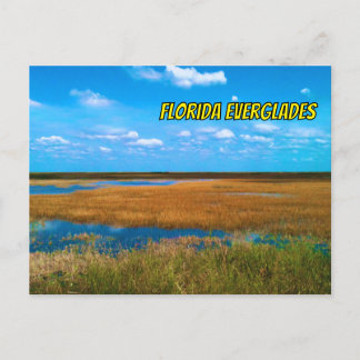 Florida Everglades Sawgrass, Sky & Reflections Briefkaart