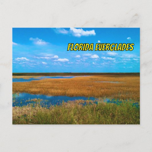 Florida Everglades Sawgrass, Sky & Reflections Briefkaart (Voorkant)