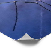 Florida Everglades, schilderachtig panorama, Poster (Hoek)