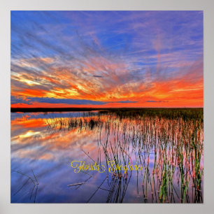 Florida Everglades, schilderachtig panorama, Poster
