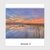 Florida Everglades Sticker (Vel)