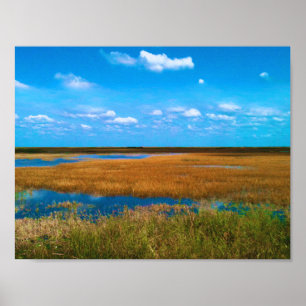 Florida Everglades Zaaggras, Lucht & Weerkaatsinge Poster