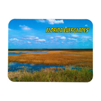 Florida Everglades Zaaggras, Lucht & Weerspiegelin Magneet