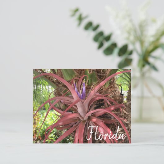 Florida Exotic Flowering Air Plant Briefkaart (Staand voorkant)