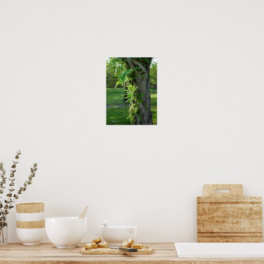 Florida ferns Palm Poster of Print (Keuken)