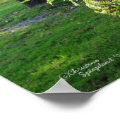 Florida ferns Palm Poster of Print (Hoek)