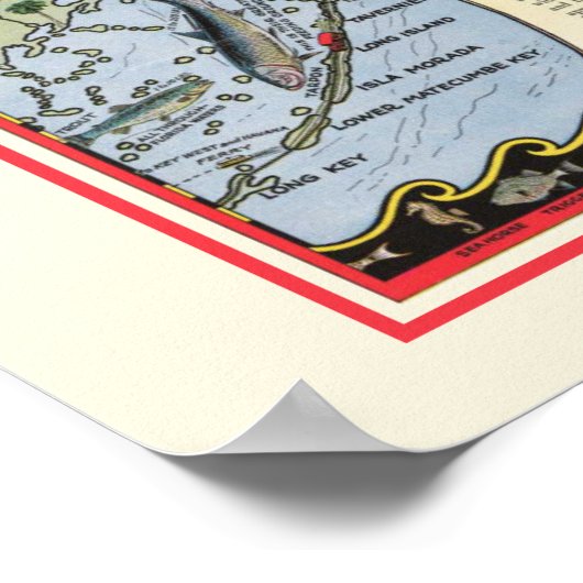 Florida Fish 12x18 Poster Print (Hoek)