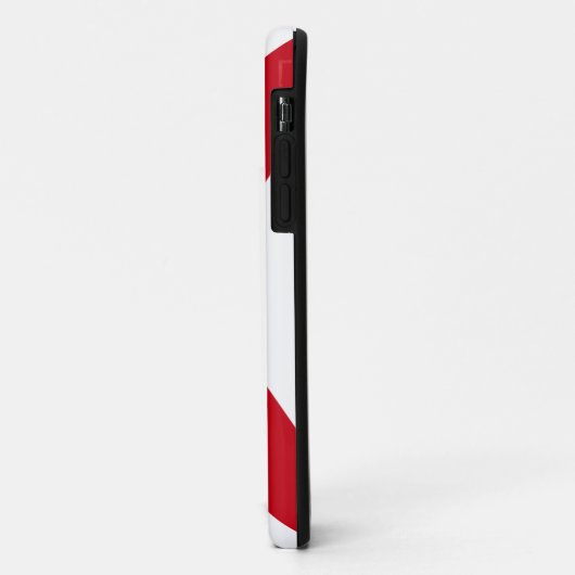 Florida Flag Case-Mate iPhone Case (Achterkant/links)