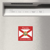 Florida Flag Magnet (Insitu (Vaatwasser))