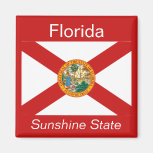 Florida Flag Magnet