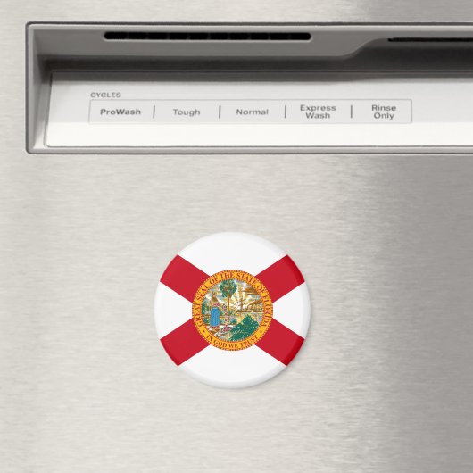 Florida Flag Magnet (Insitu (Vaatwasser))