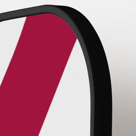 Florida Flag Pickleball Paddle (Links Detail)