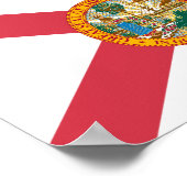 Florida Flag Poster (Hoek)