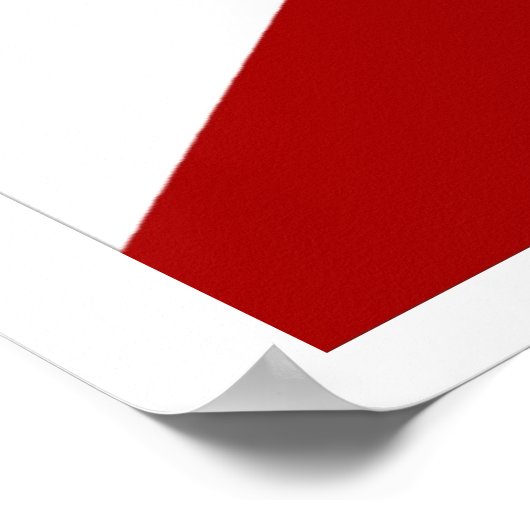 Florida Flag Poster (Hoek)