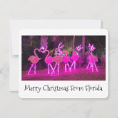 Florida Flamingo Christmas Card Feestdagenkaart (Voorkant)