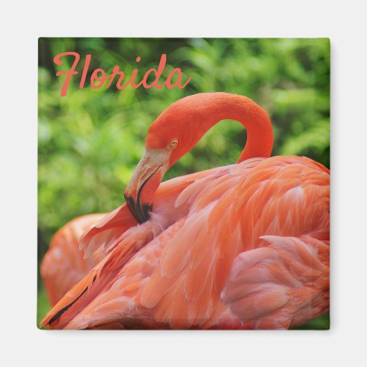 Florida Flamingo Magnet Square (Voorkant)