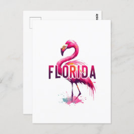 Florida, Flamingo, Postcrossing Briefkaart