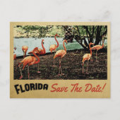 Florida Flamingo sparen de Datum  Briefkaarten (Voorkant)