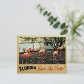 Florida Flamingo sparen de Datum  Briefkaarten (Staand voorkant)