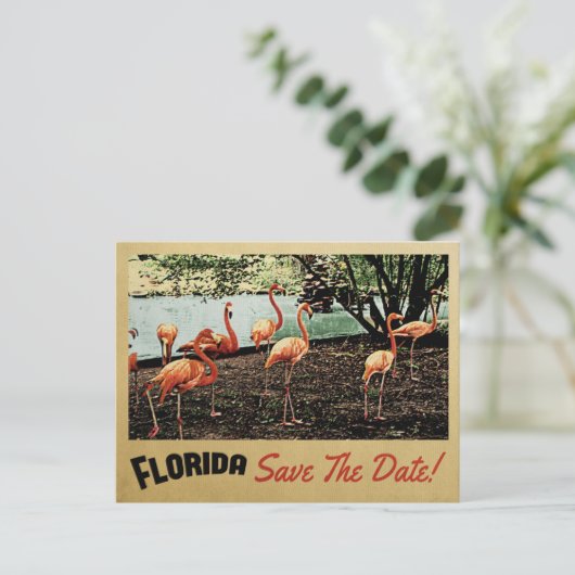 Florida Flamingo sparen de Datum  Briefkaarten (Staand voorkant)