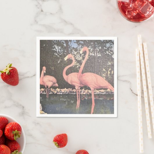 Florida  Flamingoes Servet (Insitu)
