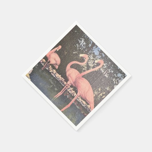 Florida  Flamingoes Servet (Hoek)