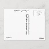 Florida, Flamingo's Briefkaart (Achterkant)