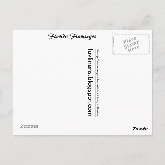 Florida, Flamingo's Briefkaart (Achterkant)