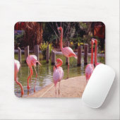 Florida Flamingos Muismat (Met muis)