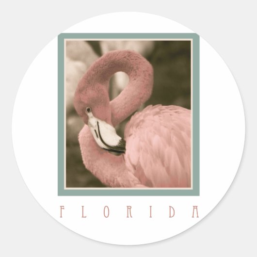 Florida Flamingos Ronde Sticker (Voorkant)