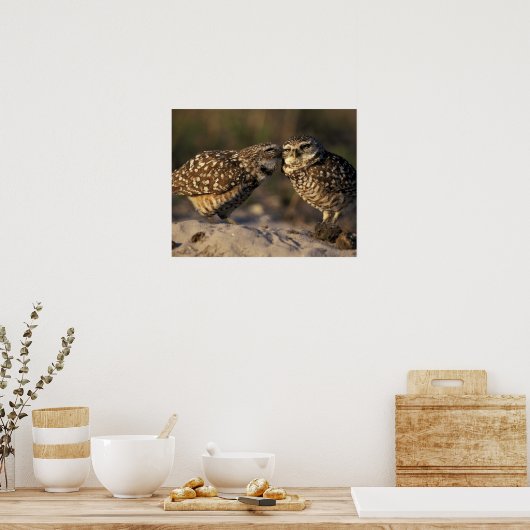 Florida, Fort Myers. Bindende boompenkoppels Poster (Keuken)