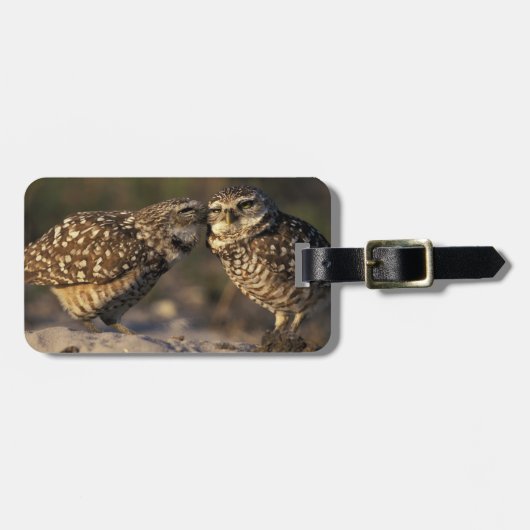 Florida, Fort Myers. Holenuil paarvorming Bagagelabel (Voorkant horizontaal)