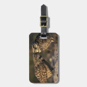 Florida, Fort Myers. Holenuil paarvorming Bagagelabel (Voorkant verticaal)