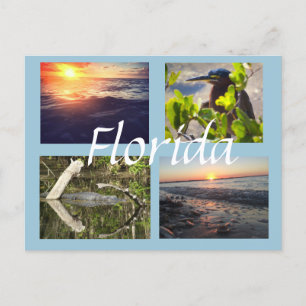 Florida fotography postcard briefkaart