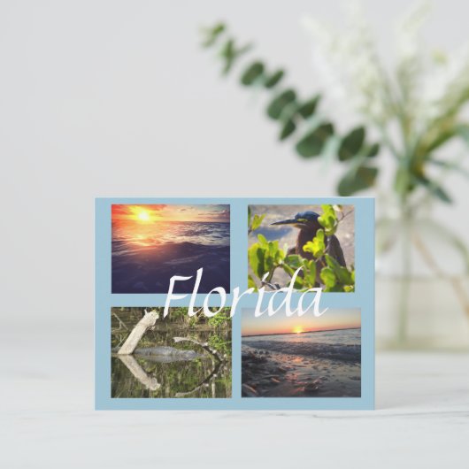 Florida fotography postcard briefkaart (Staand voorkant)