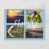 Florida fotography postcard briefkaart (Voorkant)
