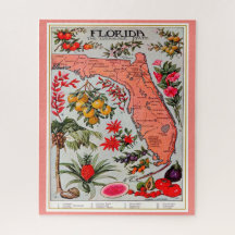 Florida Fruit 16x20 Legpuzzel