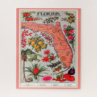 Florida Fruit 16x20 puzzel
