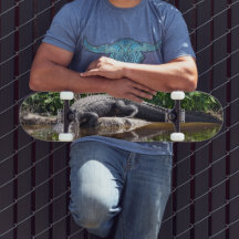 Florida Gator - Amerikaans Alligator Skateboard