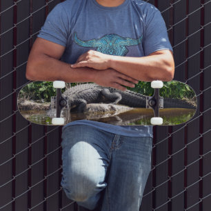 Florida Gator - Amerikaans Alligator Skateboard