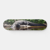 Florida Gator - Amerikaans Alligator Skateboard (Horizontaal)