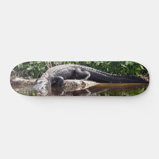 Florida Gator - Amerikaans Alligator Skateboard (Horizontaal)